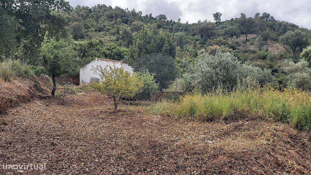 Terreno  para venda — São Bartolomeu de Messines, Faro