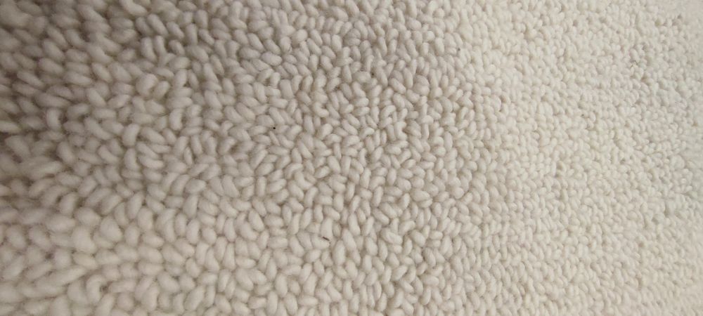 Tapete Lã Feltrada Tapeçarias Ferreira de Sá 210x250cm