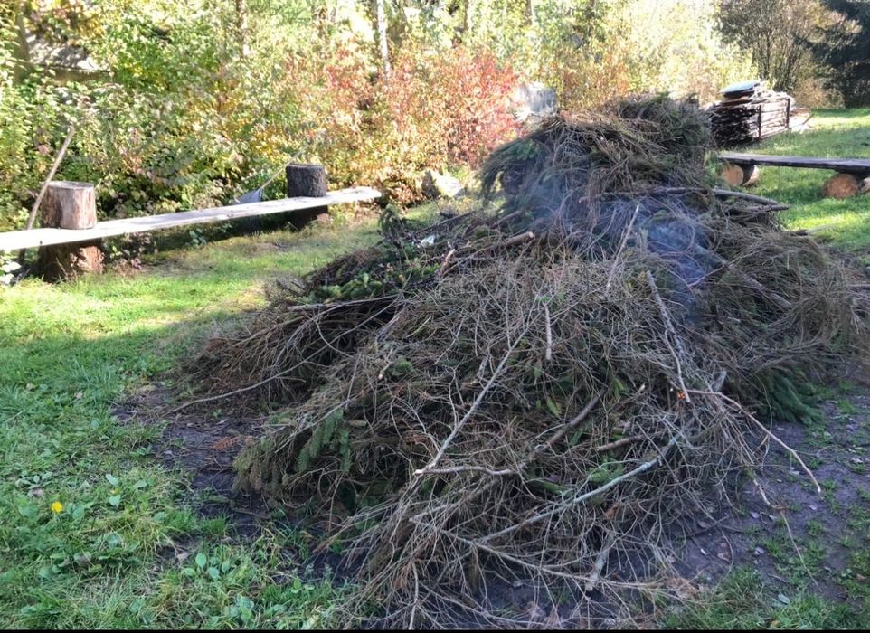 Limpeza e Desmatação de Terrenos – Zona de Faro