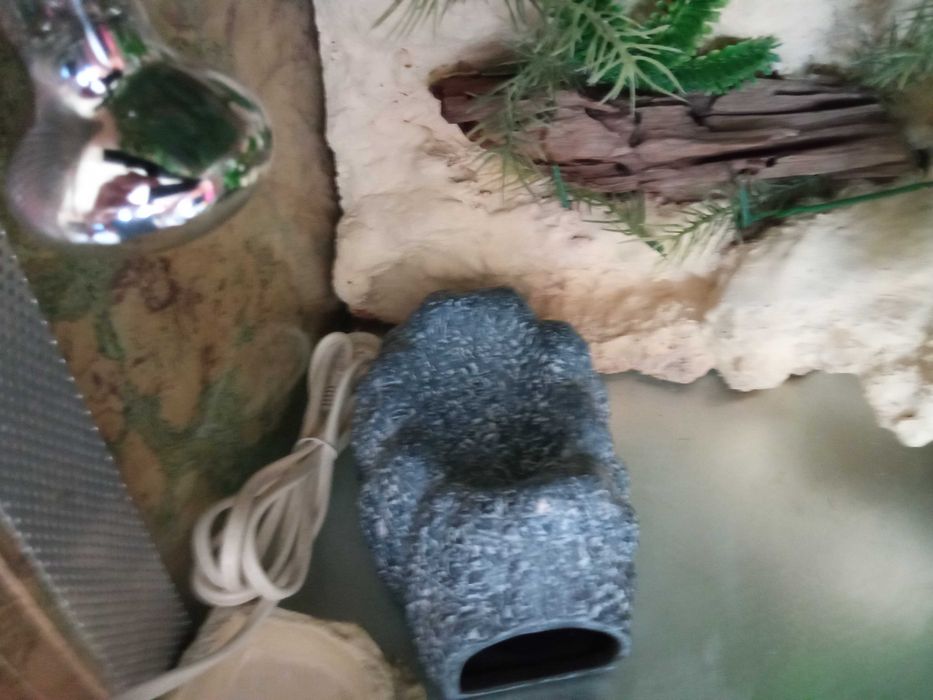 Terrarium dla gekona