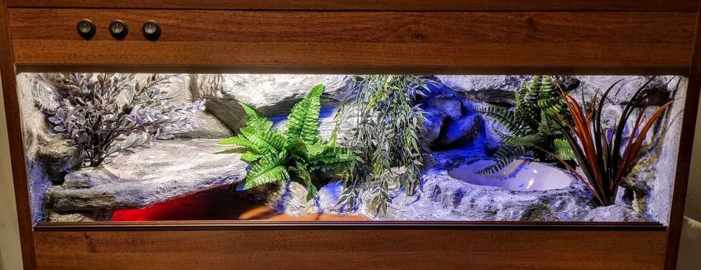 Terrarium dla węża na zamówienie 90x40x40