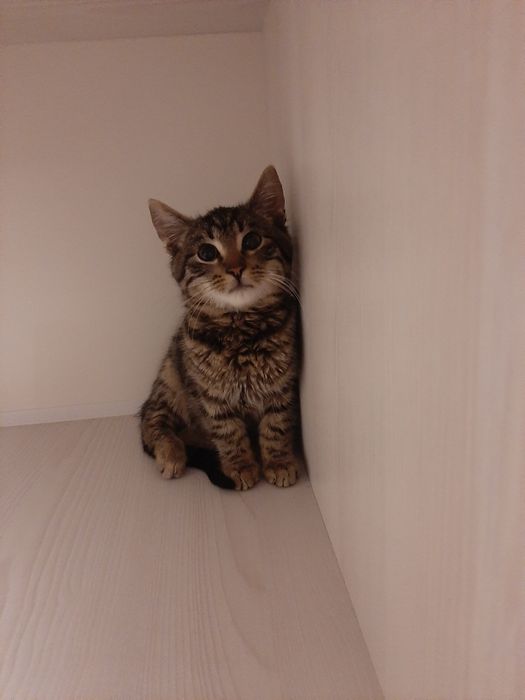 Малышу нужен срочно дом