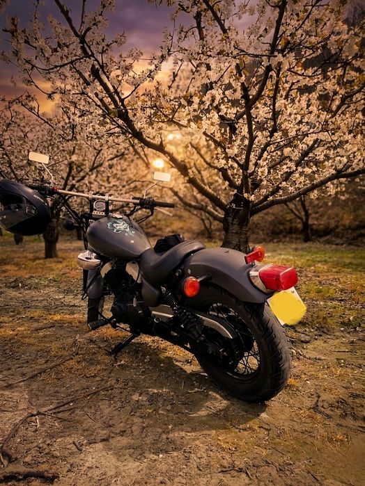 Yamaha Virago 250 (XV250) Bobber Custom