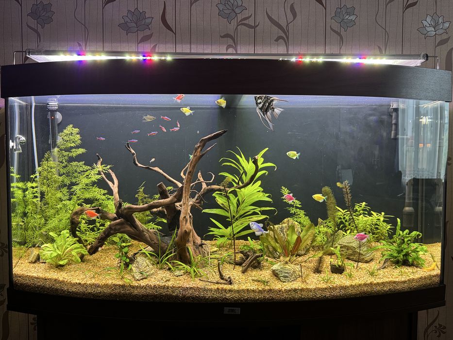 СО2 для акваріума на лимонні кислоті, СО2 для акваріума на соді