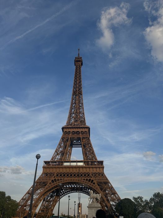 Francuski, hiszpański, angielski - korepetycje