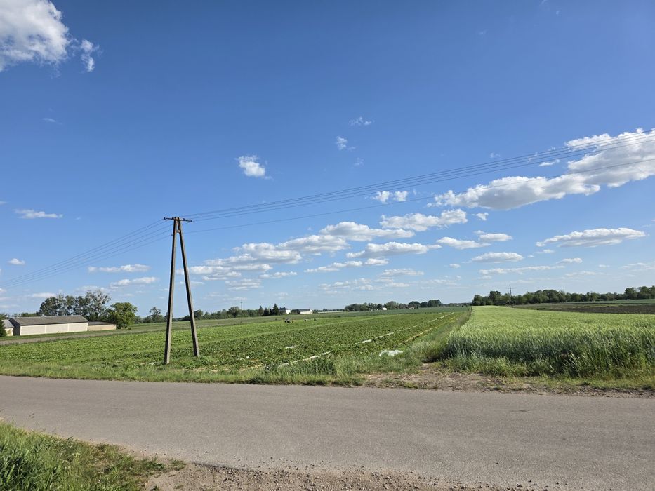 Sprzedam działkę 8600 metrów Komsin