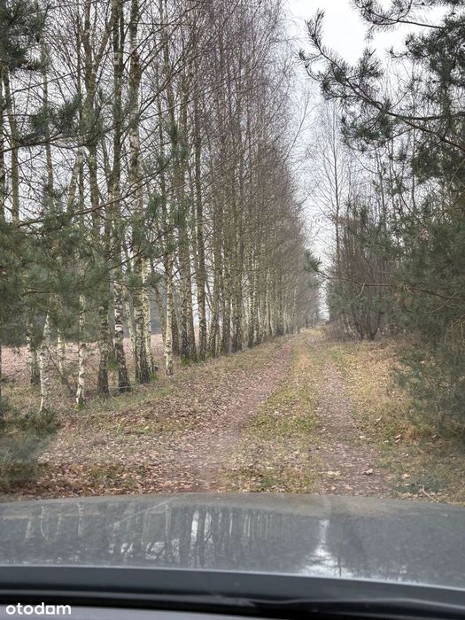 Działka rolno - inwestycyjna  23100 m2  z możliwością zabudowy