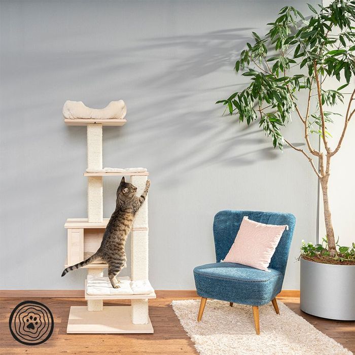 Natural Paradise Drapak dla Kota Orchid Vanda L Kremowy 91x71x154 DUŻY