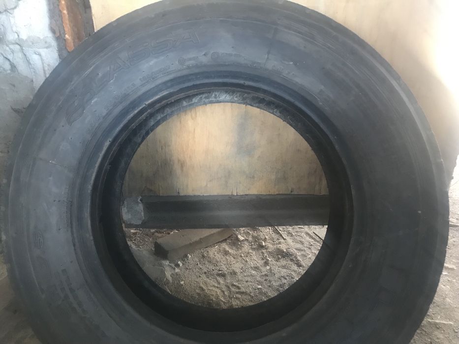 Продам ласка