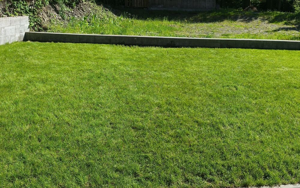 Apartament, wolny w ten weekend