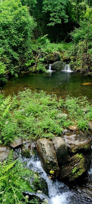 2 casas em pedra, xisto e lousa em ambiente natural