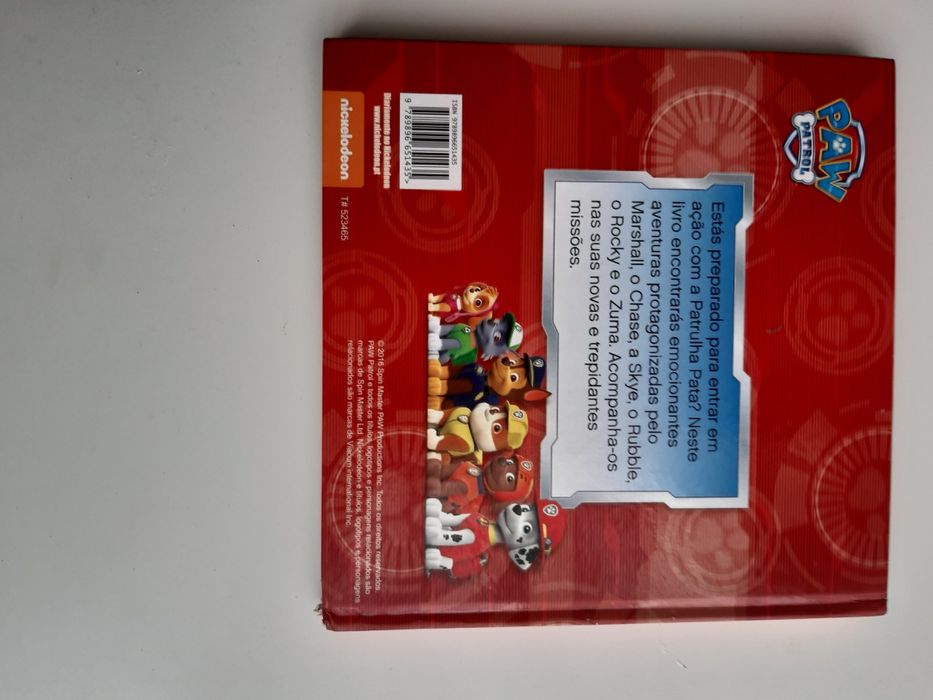 Nada é impossível para a Patrulha Pata!