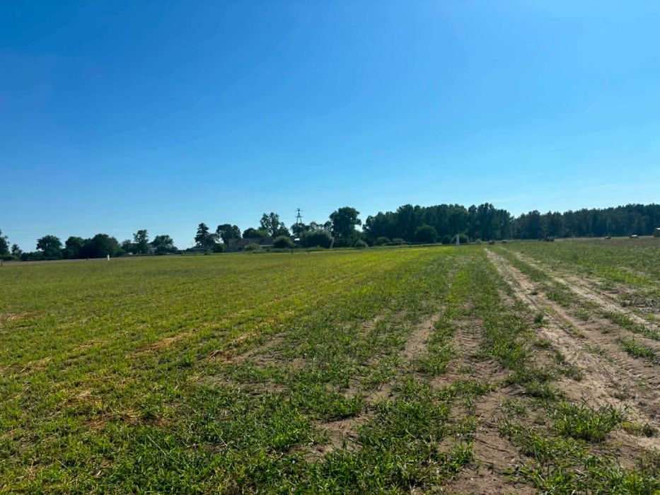 Działki budowlane uzbrojone, od 1115 do 2559 m² spokojna okolica, !!!OKAZJA!!! - Widok 4