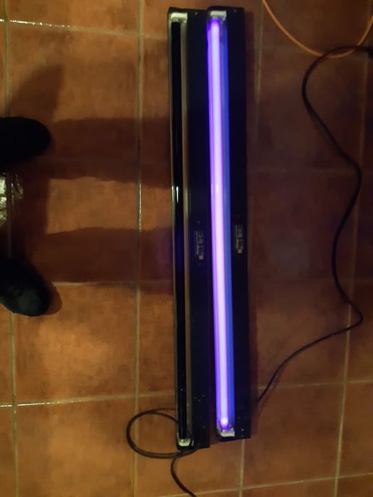 Luz Negra propria para Bar o Discoteca