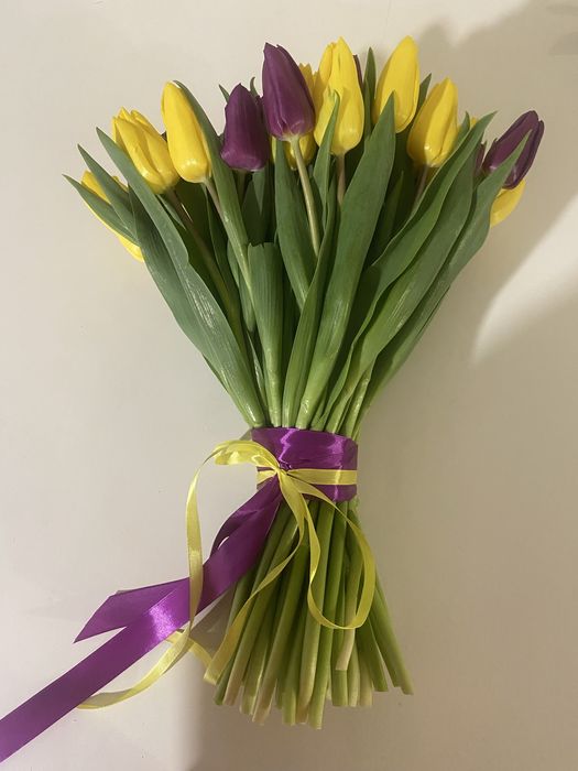 Тюльпан 35 грн, есть опт.