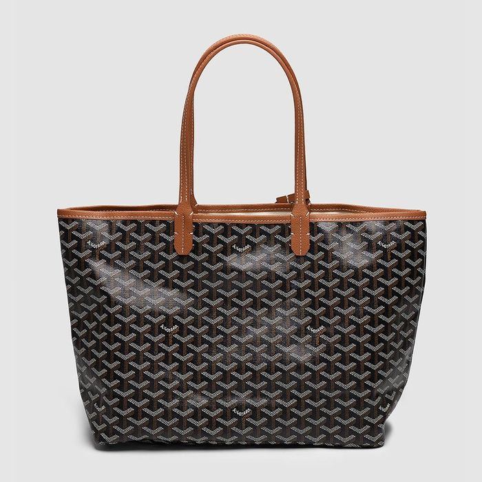 Жіноча сумка - шопер GOYARD Saint Louis PM Coated Canvas Tote bag Brow