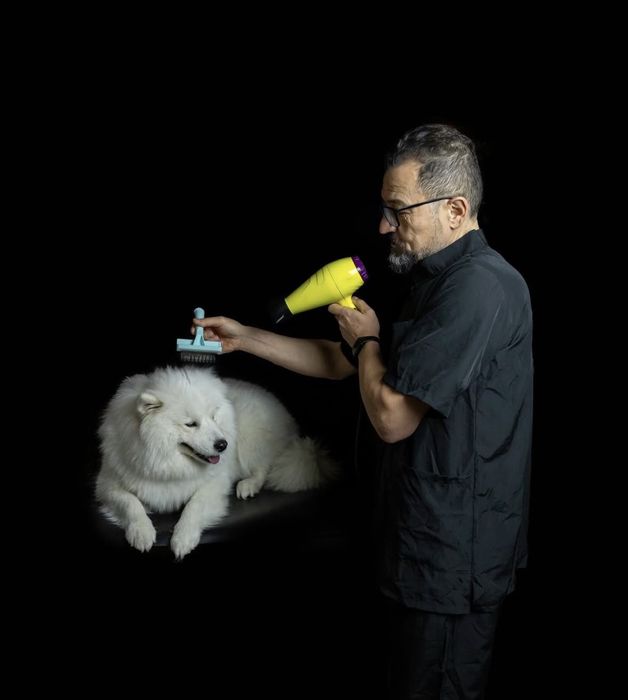 Самоіди для фотосесії. Київ