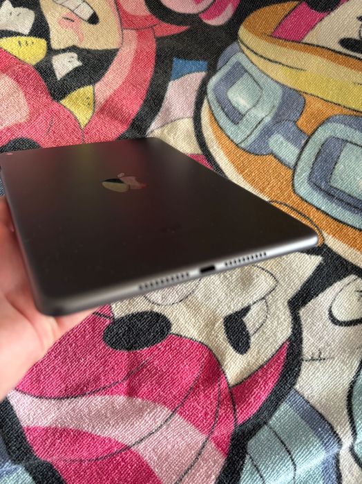 iPad Mini 5 64 Gb Space Gray