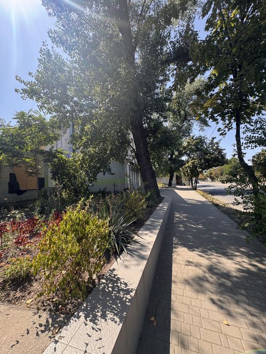 В продаже помещение (квартира) на красной линии пр-та Свободы! 109 м2