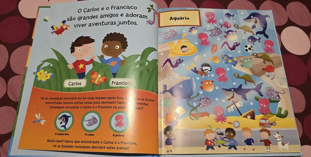 501 Coisas para Descobrir - Girassol