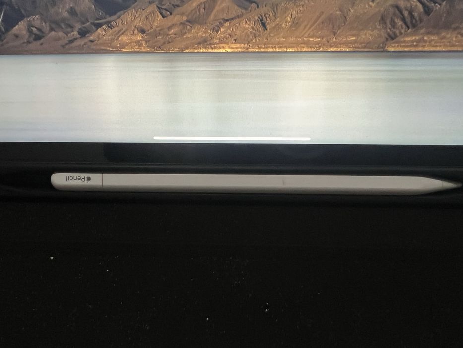 iPad Pro 12.9" (2021) 5ª geração