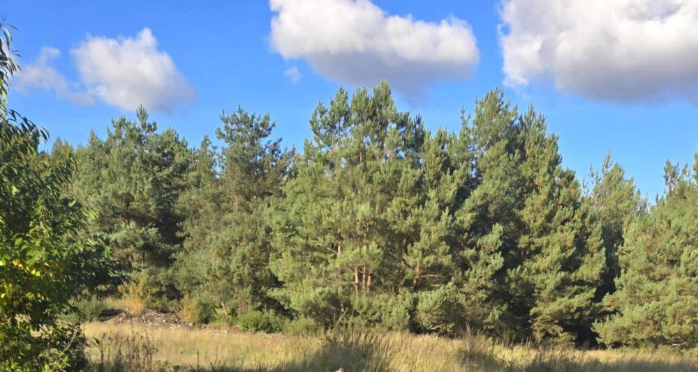 Działka budowlana JAR  934 m2   dom jednorodzinny/inwestycja