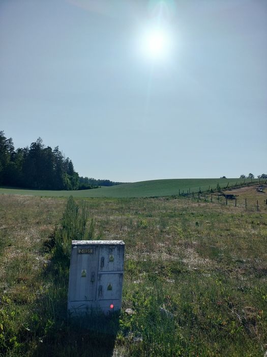 Działka 1500m. w Dzięcielcu