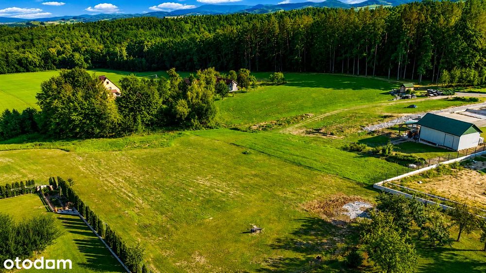 Wyjątkowa działka 10 ar - pełne media | las i natura | Poręba Mała - Widok 5