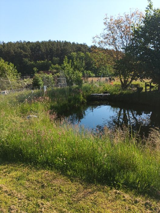 Siedlisko Rybakówka w pierwszej linii brzegowej Kaszuby