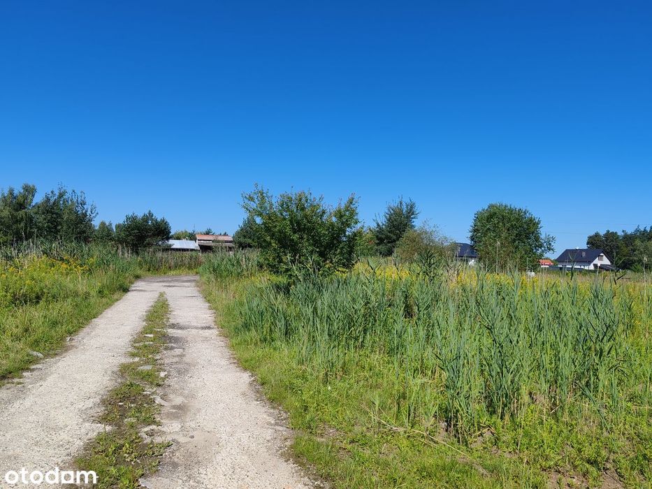 Działka 900m² w spokojnej lokalizacji - Widok 4