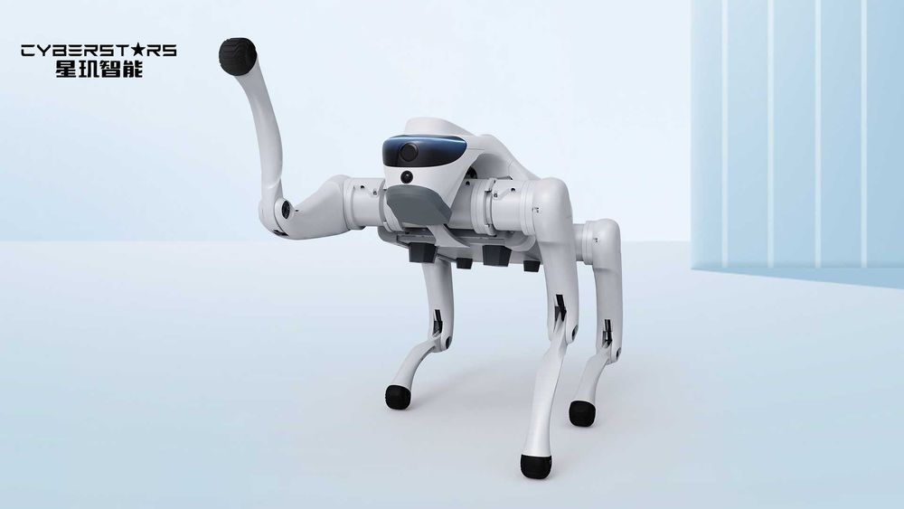ROBOT pies Cyber 1 (dostępne kolory - BIAŁY lub SZARY, wersja DEV) - dostępne od ręki