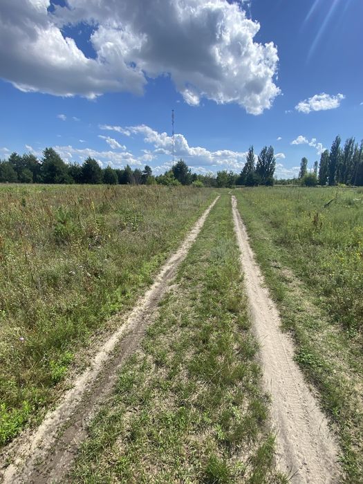 Продається земля в Новій Любомирці - View 3