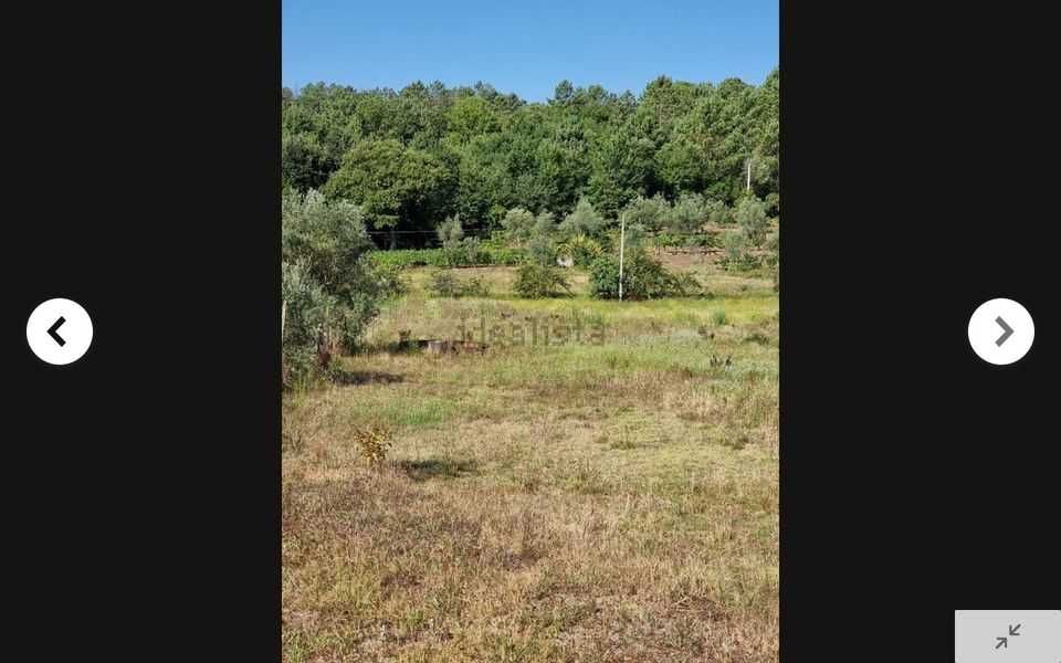 TERRENO 5.500m2 Parada de Gonta - Tondela