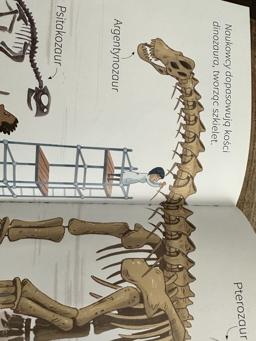 Ksiażka o dinozaurach