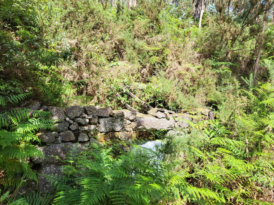 Terreno no Gerês com Ruína e Mina 3 Artigos 8.100m²
