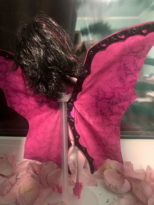 дракулаура 2016 года (опис)