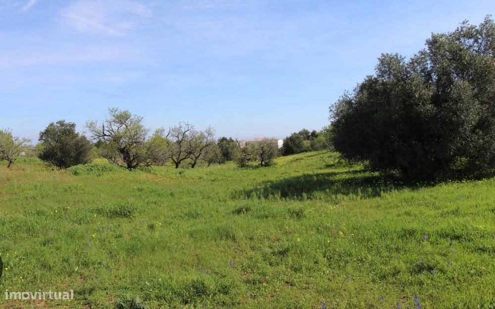 Terreno com 6.000 m² + Construção Existente | Vale da Jorra | Santarém