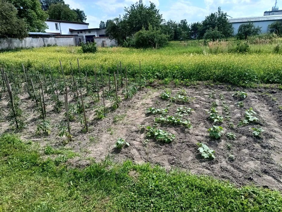Koszenie GRABIENIE Prace ogrodowe, ROD i inne - 7 DNI W TYGODNIU