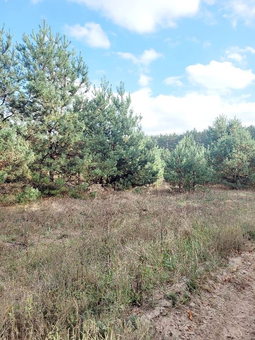 Земельна ділянка, житлова забудова село Пряжів