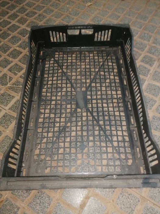 Caixas Plásticas Vazadas 60x40x10 cm – Ideais para Cogumelos, Frutos