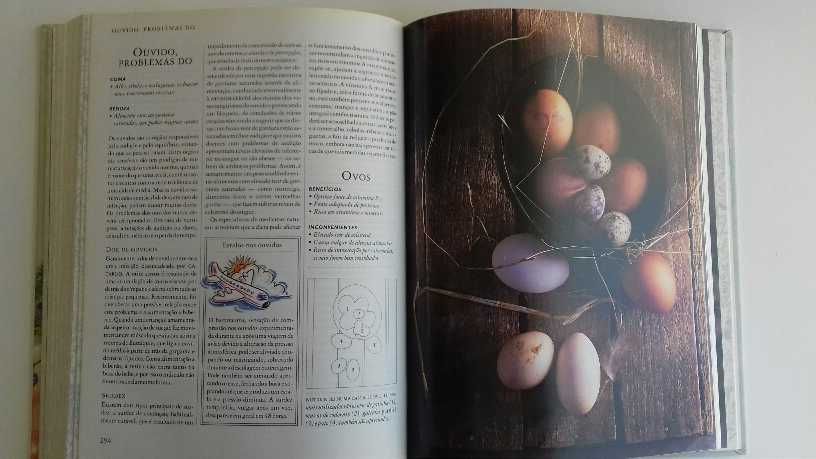 Livro culinária novo - "Alimentos Bons, Alimentos Perigosos"
