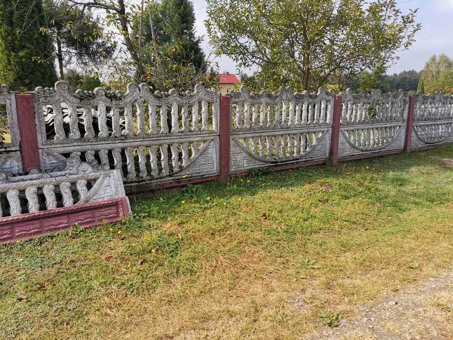 Płot betonowy  bądź same płyty i l słupki