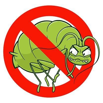 Уничтожение Тараканов в Самаре, Травля Тараканов, Дезинфекция Таракан