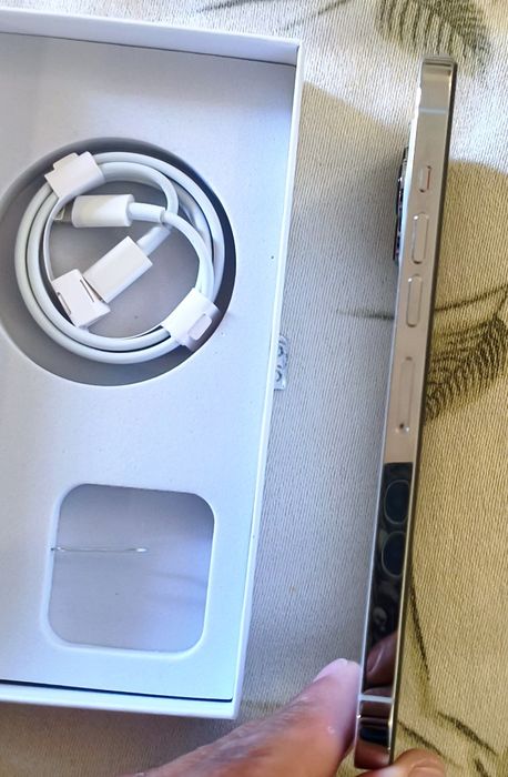 iPhone 13 Pro Max  (Como novo)