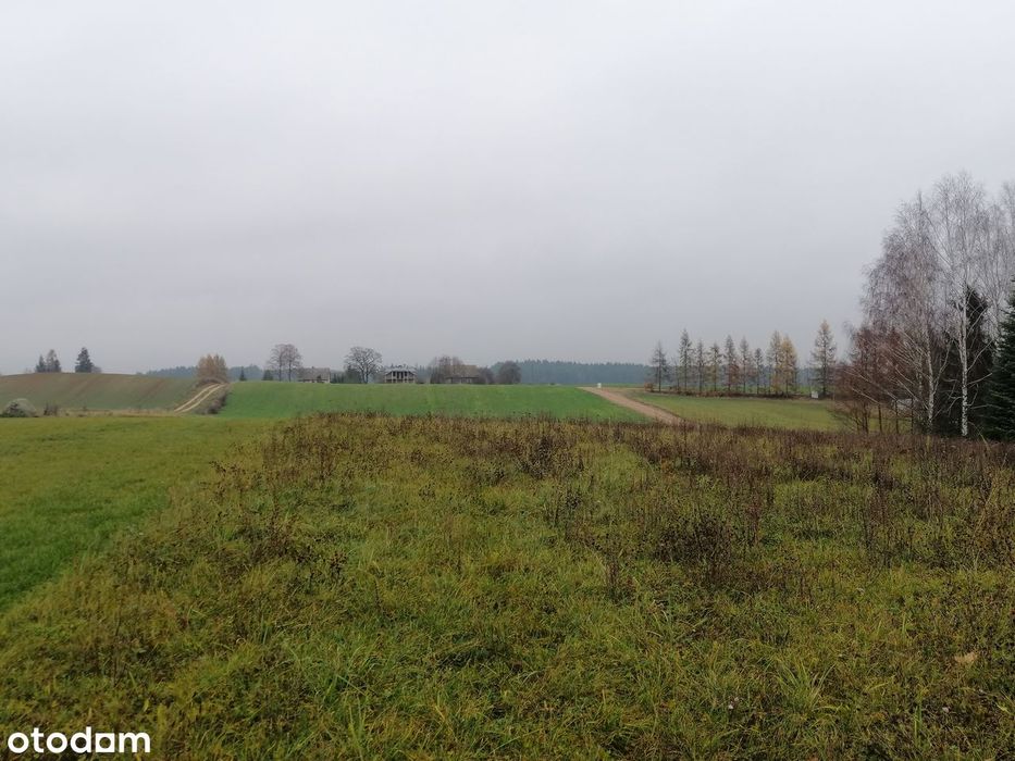 Działka budowlana  nad jeziorem - View 5
