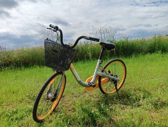 Rower Miejski O-Bike