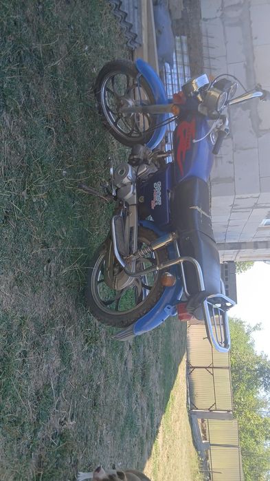 Alpha 72 2013nkkn