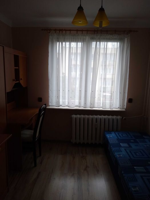 Zdjęcie 2