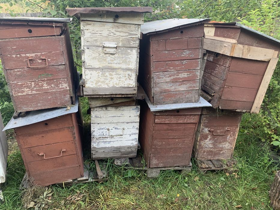 Продам ульи для пчёл, вулики