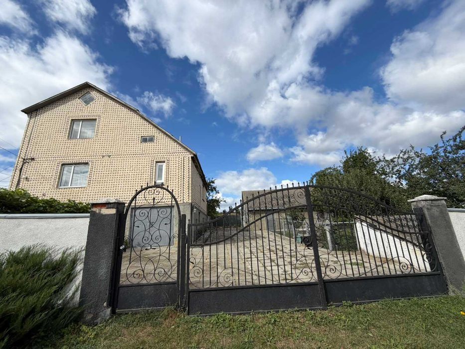 БУДИНОК У с. ДРУЖНОМУ | 25 соток | 110 М²